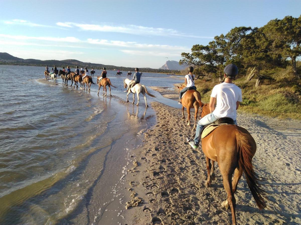 Appartamento Sette Posti Vicino Al Centro Di San Teodoro San Teodoro  Εξωτερικό φωτογραφία